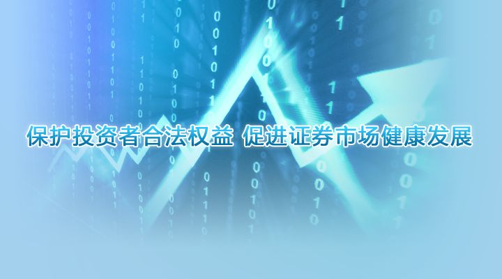 中國資本市場投資者保護報告（2021）